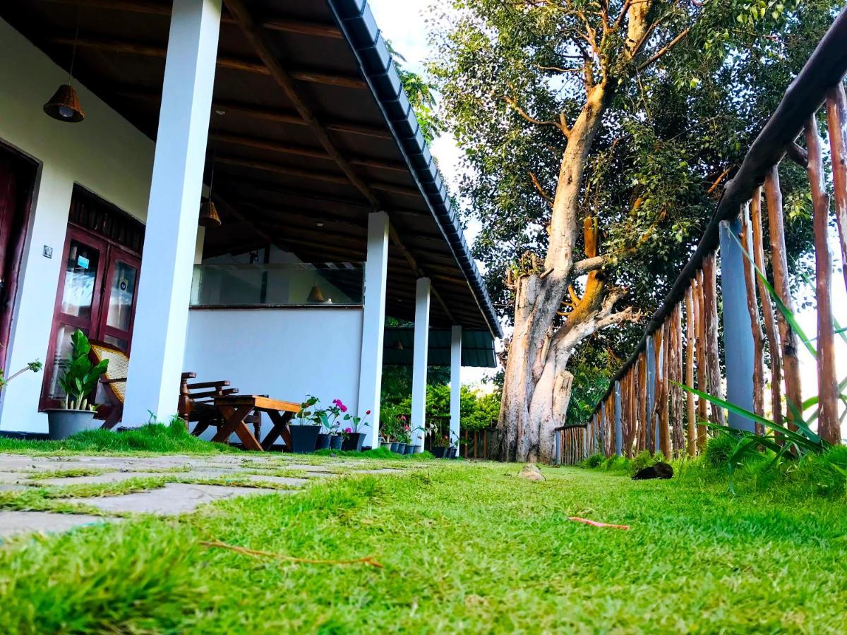 Rainbow Sky Cottage 엘라 외부 사진
