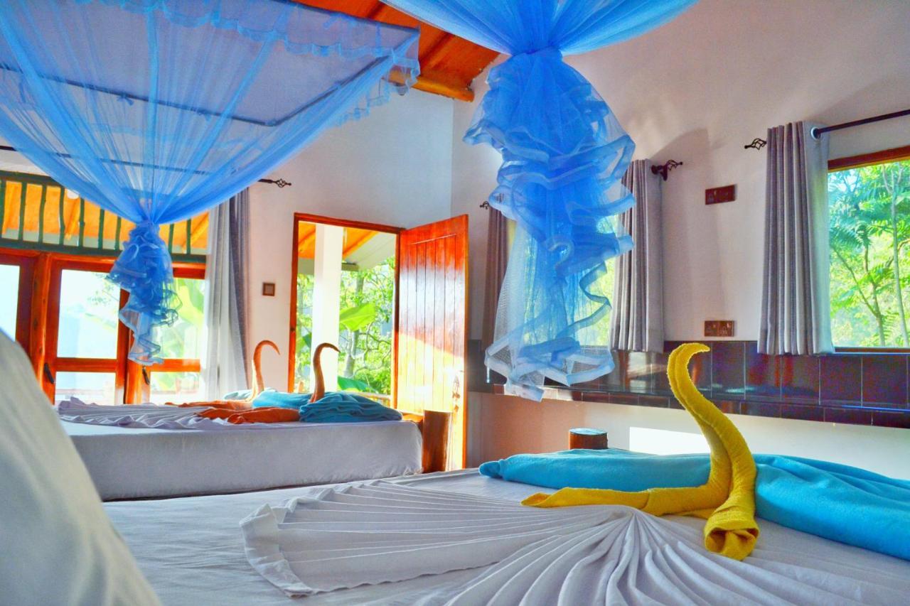 Rainbow Sky Cottage 엘라 외부 사진